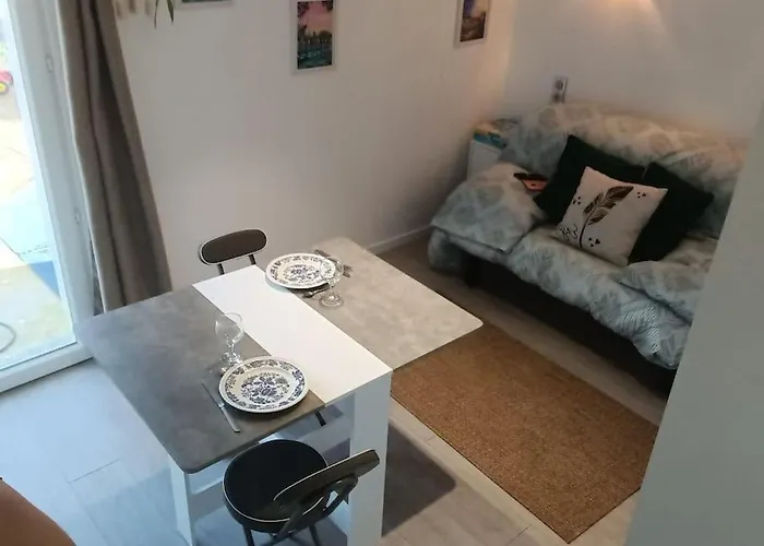 Dans Le Vignoble Nantais * Saint-Fiacre-sur-Maine